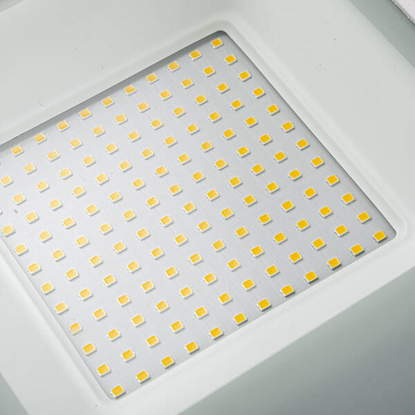 Cost-effective LED Flood Light (NFL08)