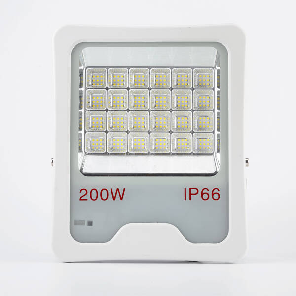 Cost-effective LED Flood Light (NFL08)