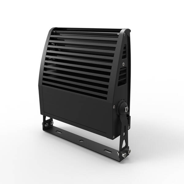 Big Power LED Flood Light (TGD05)